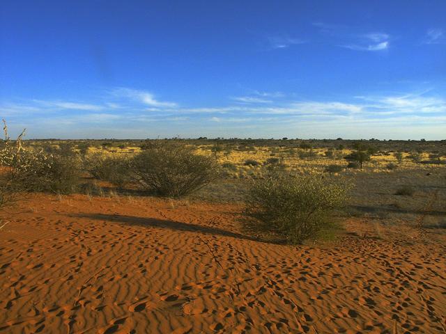 Mokala National Park